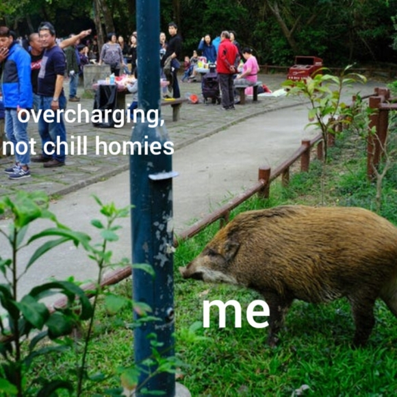 SUP - Picture 2 of 5